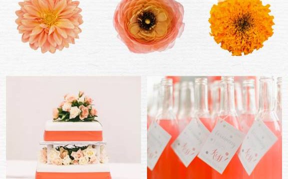 color-psychology-orange