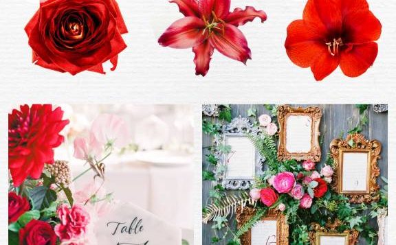 color-psychology-red