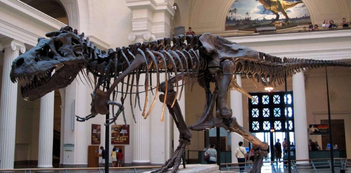 museum-zoologi-profile1695489301