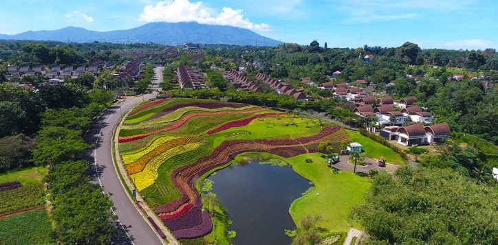 flower-hills