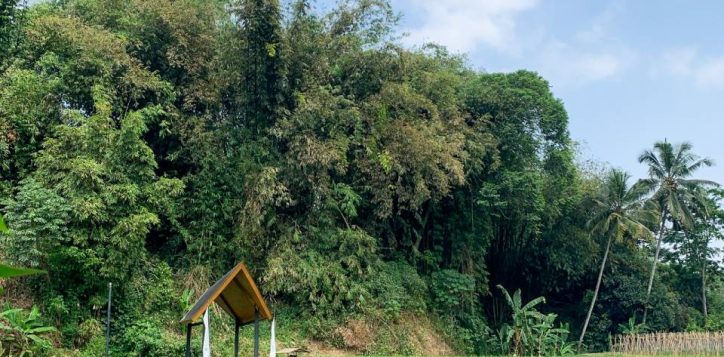 whatsapp-image-2025-08-12-at-08-19-44-6