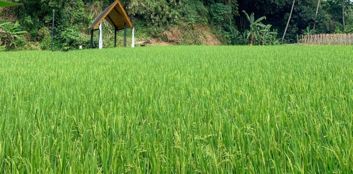 pullman-ciawi-vimala-hills-earns-green-globe-certification-in-continued-sustainability-journey