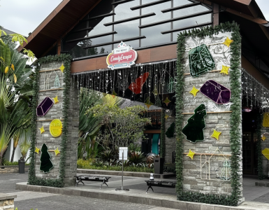 a-festive-journey-of-clarity-connection-and-new-beginnings