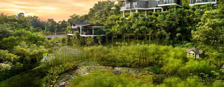 stay-longer-live-better