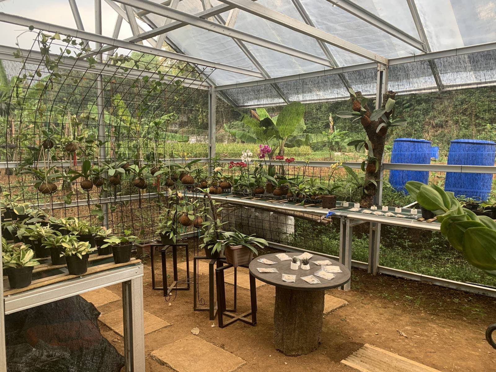 Staycation at Pullman Ciawi rooms