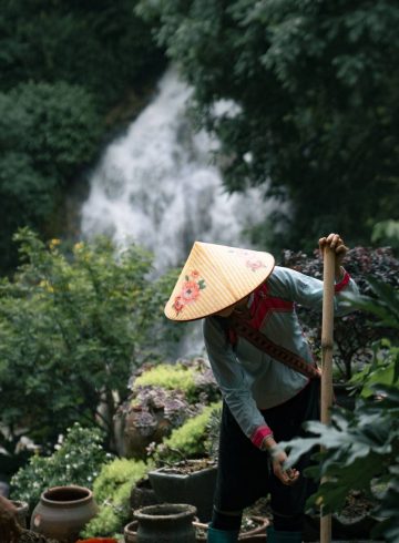 flavours-of-sapa-set-menu