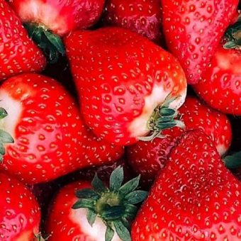 strawberry-promotion