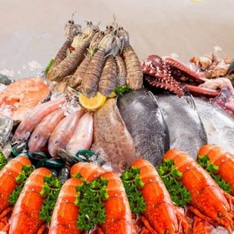 seafood-festival-dinner-the-square