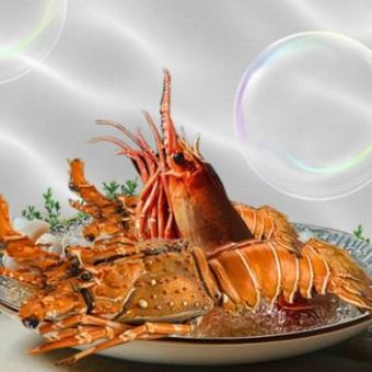 seafood-studio-dinner