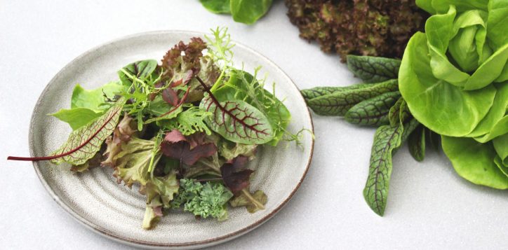 fairmont-swissotel-recipe-kit-aquaponics-salad