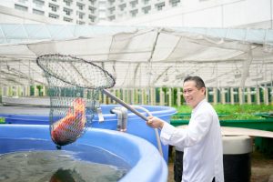 sustainability-at-fairmont-singapore-swissotel-the-stamford