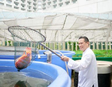 sustainability-at-fairmont-singapore-swissotel-the-stamford
