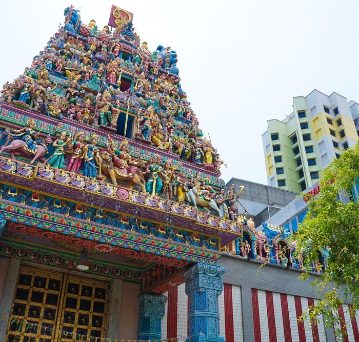 exploring-cultural-and-natural-gems-in-singapore
