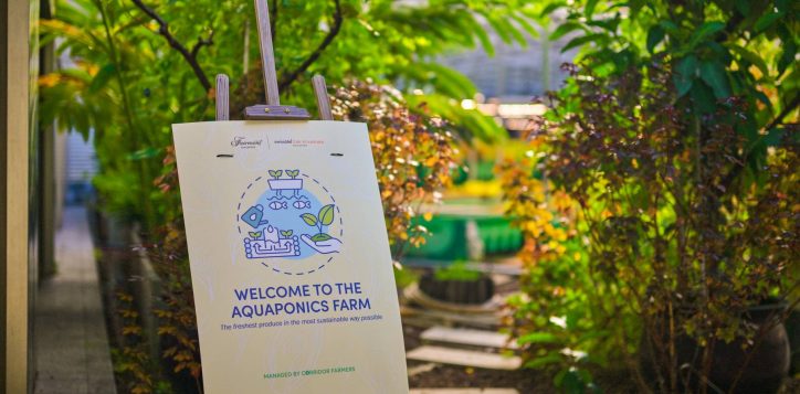 aquaponics-farm_2