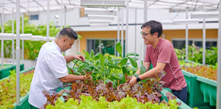 wfs-2024-from-farm-to-table-a-mindful-eating-experience_key-visual