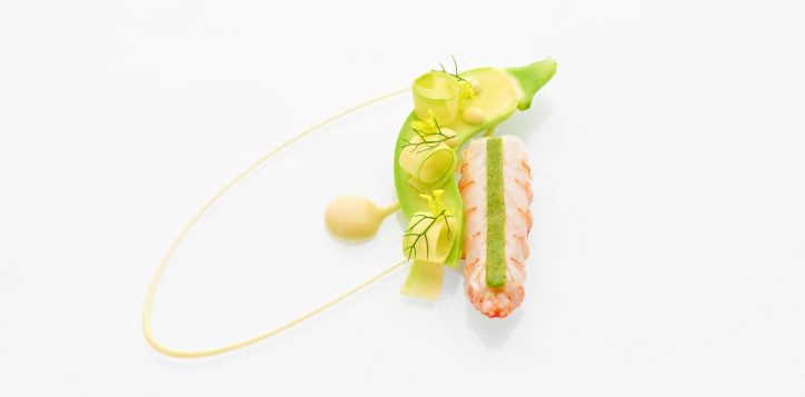 jaanbykirkwestaway-langoustine