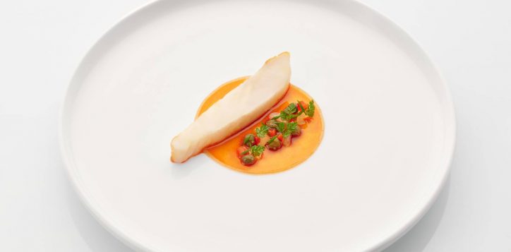 jaanbykirkwestaway-wild-turbot