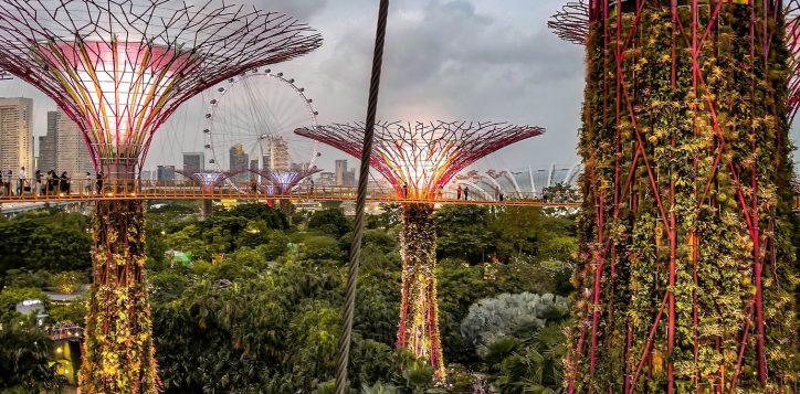 gardens-by-the-bay