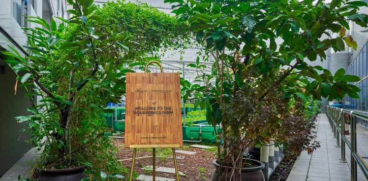 new-aquaponics-farm-sign_1