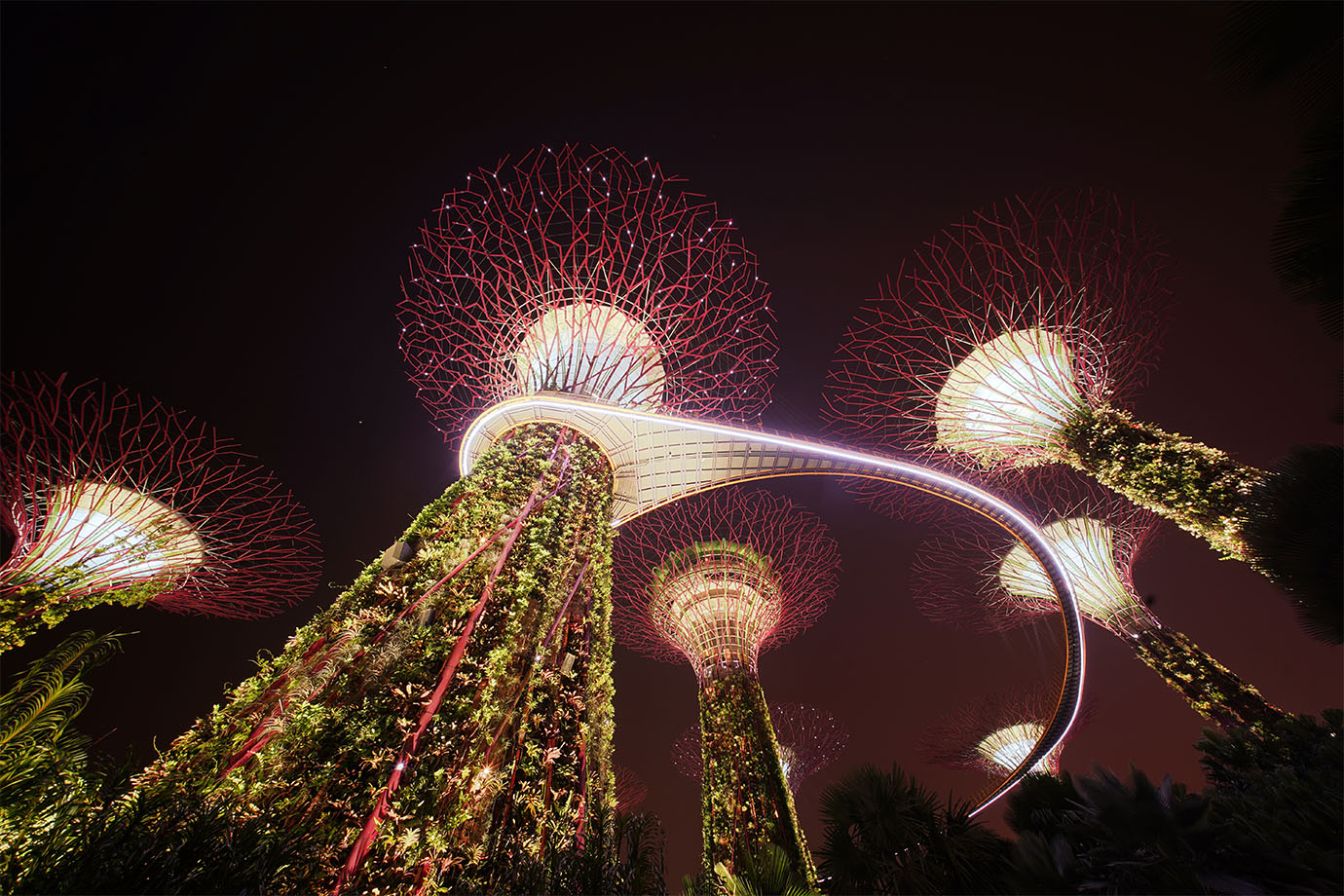 Why should you celebrate Christmas & New Year’s Eve in Singapore