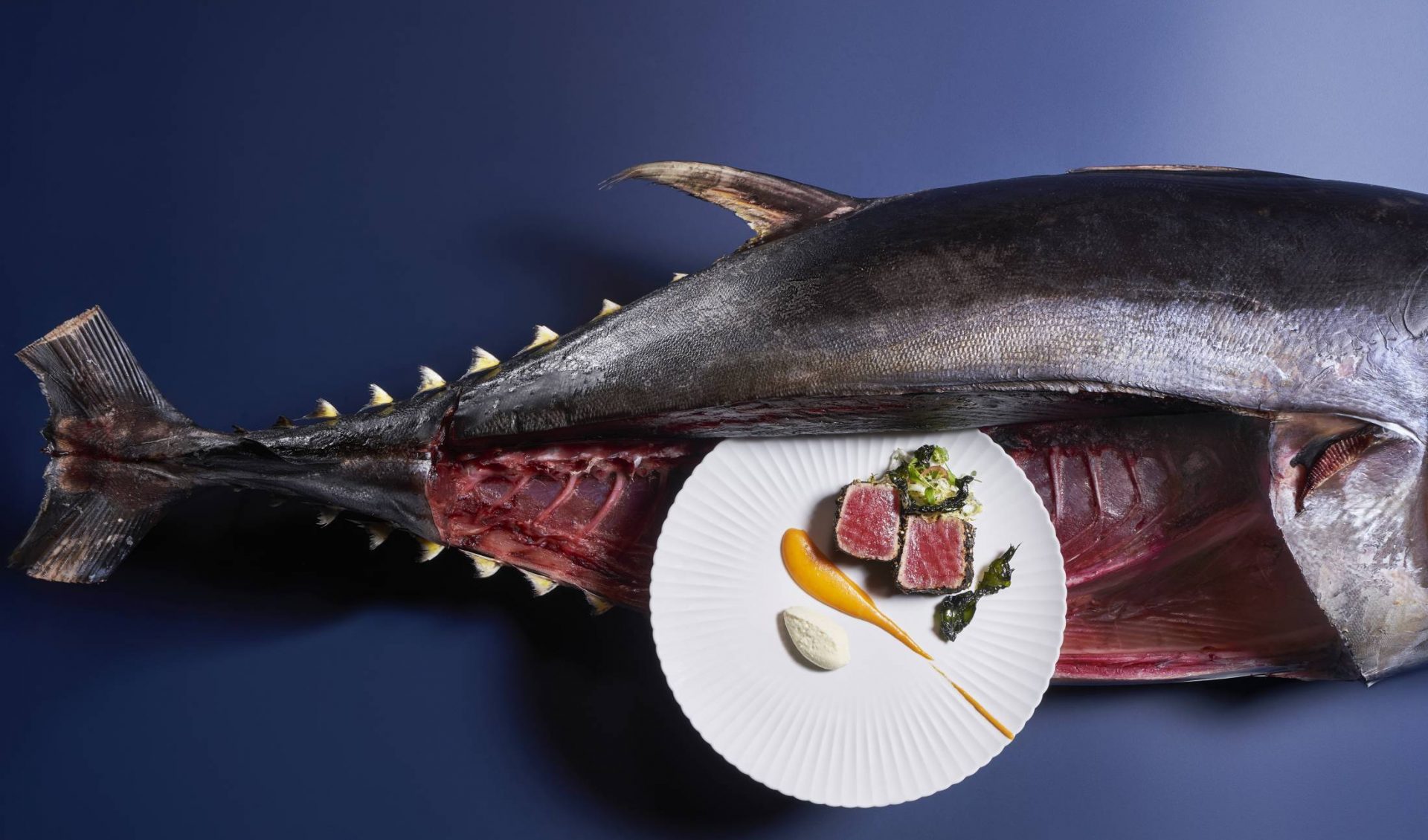 Ahi Tuna
