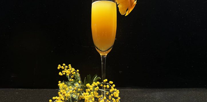 mimosa-cocktail