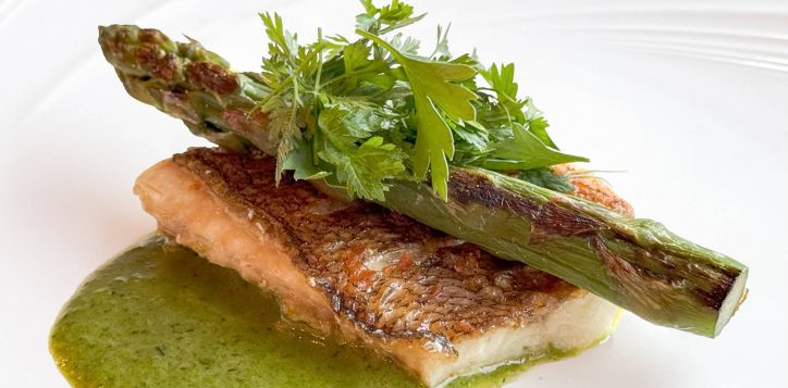 fish0528