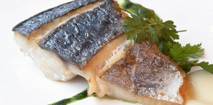 fish-2026-mar-2-0-hp