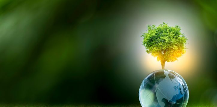 renewableenergyconceptearthdayorenvironmentprotectionhandsprotect