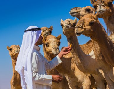 events-exhibitions-and-holidays