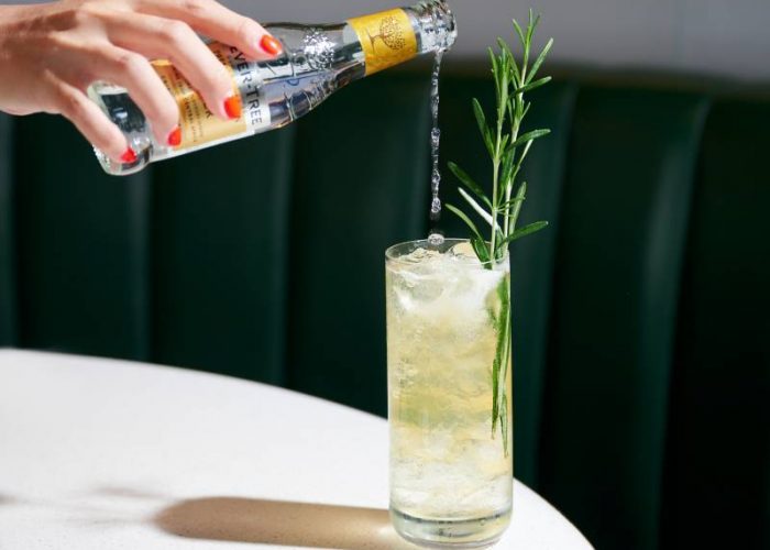 Rosemary Gin & Tonic Infusion