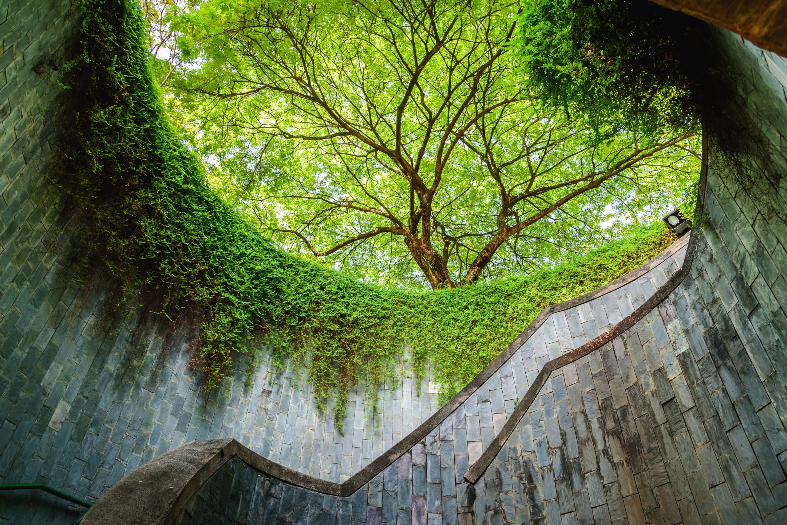Singapore Heritage Staycation