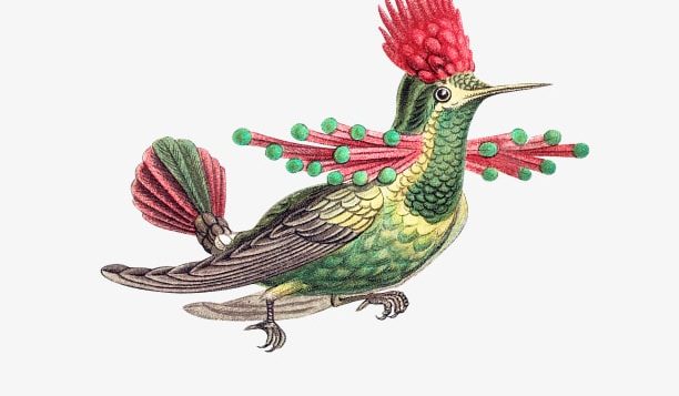 bird-on-gray-2-2