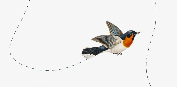 flight-path-on-gray-a-2