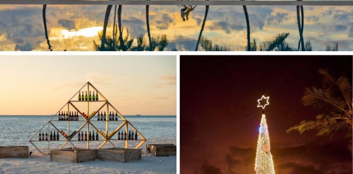 pmm_festive-christmas-offer-page_930x1200-px