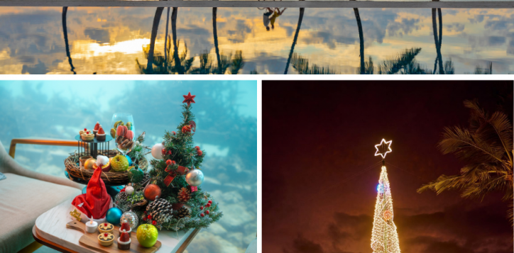 pmm_festive-christmas-offer-page_930x1200-px-2