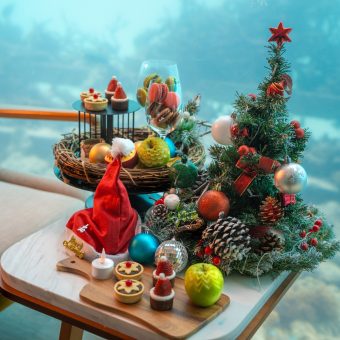 a-great-holiday-adventure-whoville-christmas