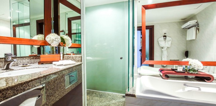 executive-room-bathroom