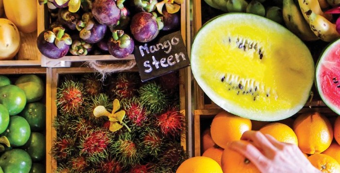 700x700-all-about-fruits