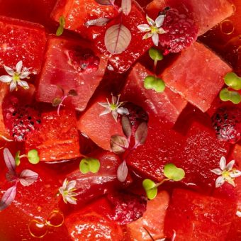 savour-the-season