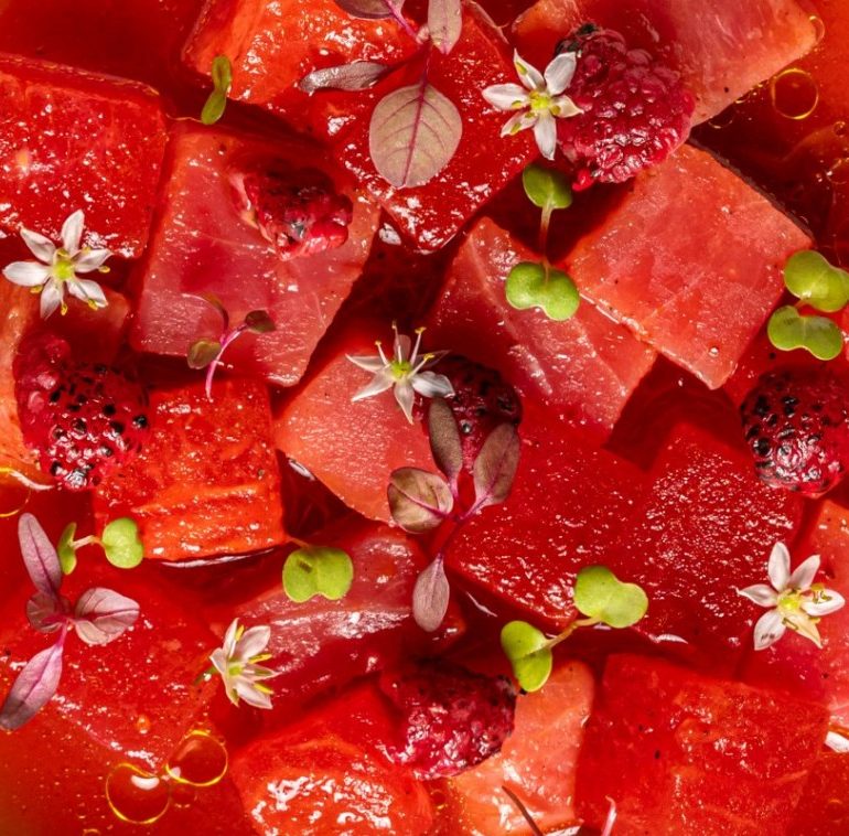 savour-the-season