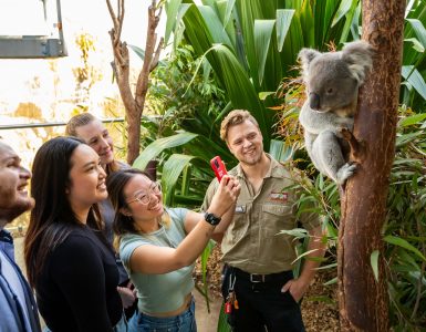 wild-life-sydney-zoo