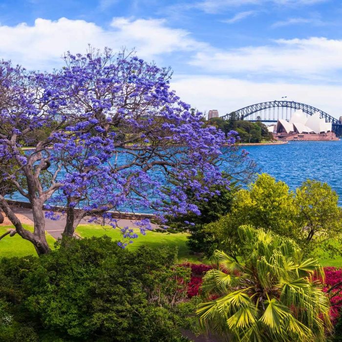 royal-botanic-garden-sydney