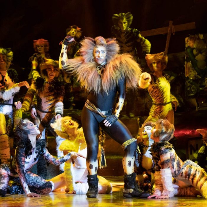 cats-the-musical