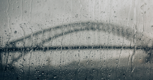 things-to-do-in-sydney-on-a-rainy-day