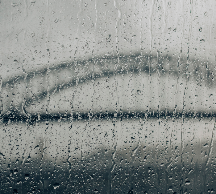 things-to-do-in-sydney-on-a-rainy-day