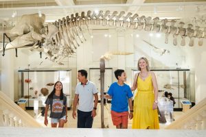 how-to-spend-fathers-day-in-sydney