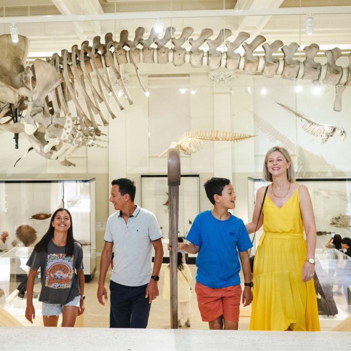 how-to-spend-fathers-day-in-sydney