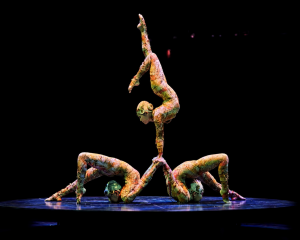 where-to-stay-in-sydney-for-cirque-du-soleil-kooza