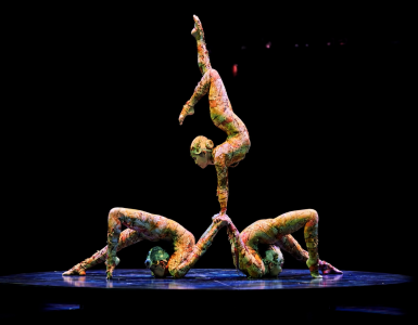 where-to-stay-in-sydney-for-cirque-du-soleil-kooza